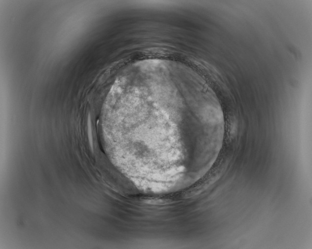 X0000112770759200910011236