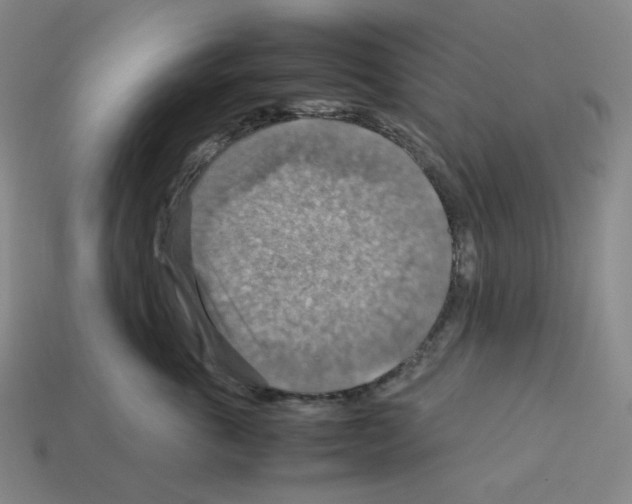 X0000112770763200910011236