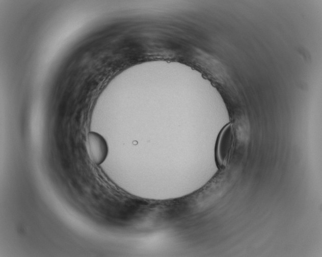 X0000112770764200910011237