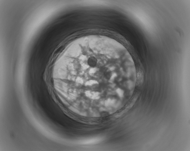 X0000112770765200910011237