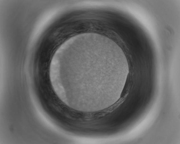 X0000112770766200910011237