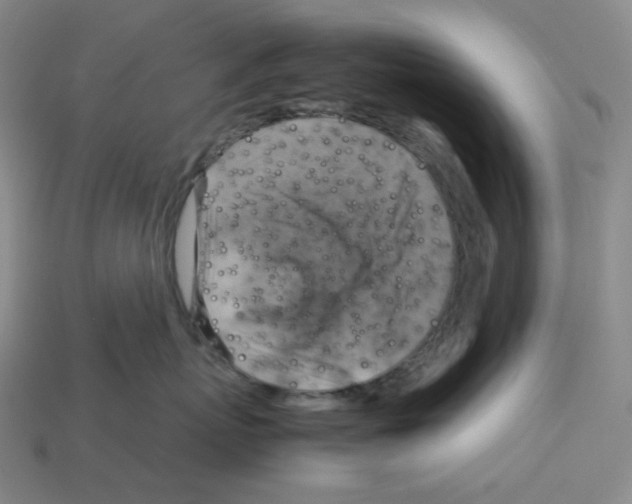 X0000112770767200910011237