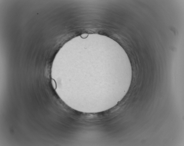 X0000112770768200910011237