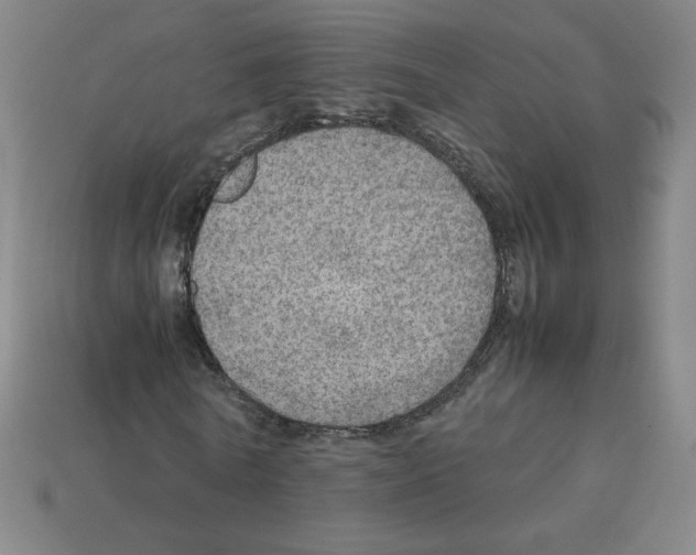 X0000112770770200910011236