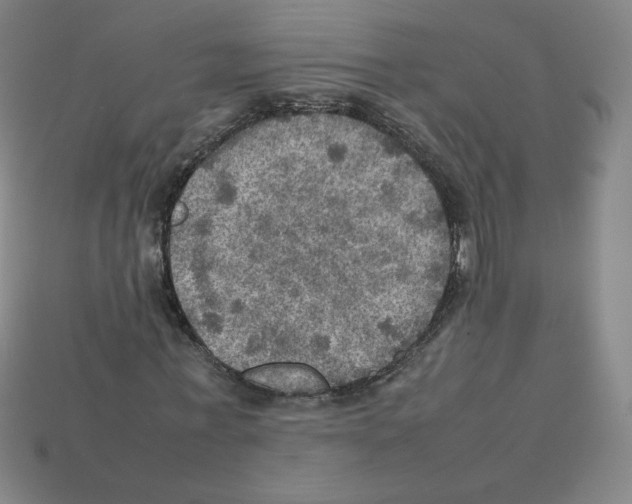 X0000112770771200910011236