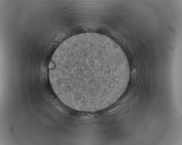 X0000112770772200910011236