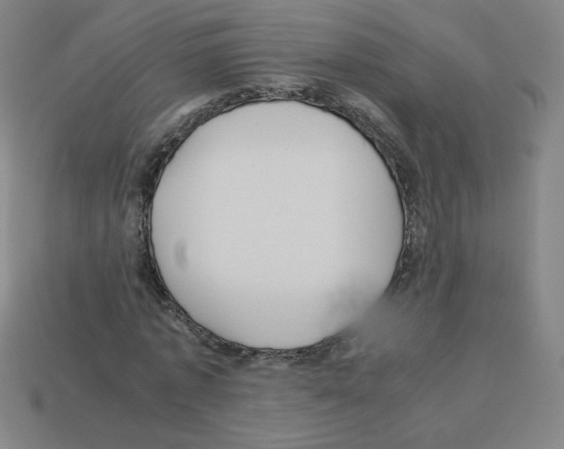 X0000112770773200910011236