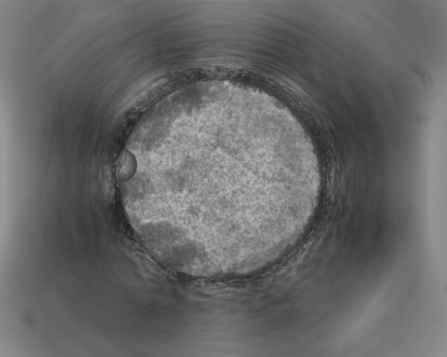 X0000112770774200910011236