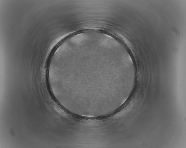 X0000112770779200910011236