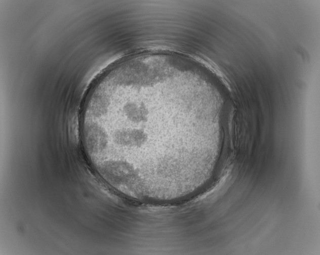 X0000112770782200910011236