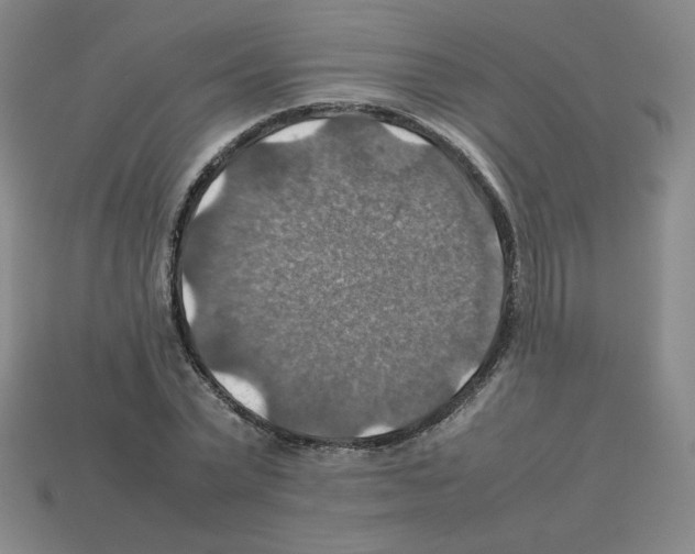 X0000112770783200910011236