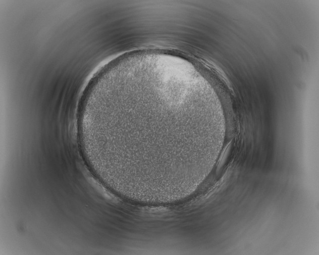 X0000112770784200910011236