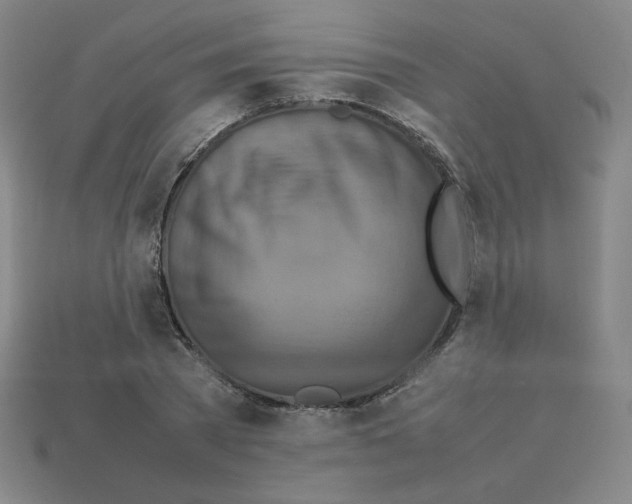 X0000112770785200910011236