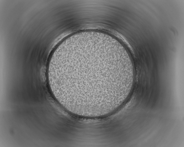 X0000112770786200910011236