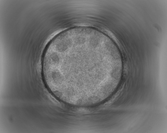 X0000112770787200910011236