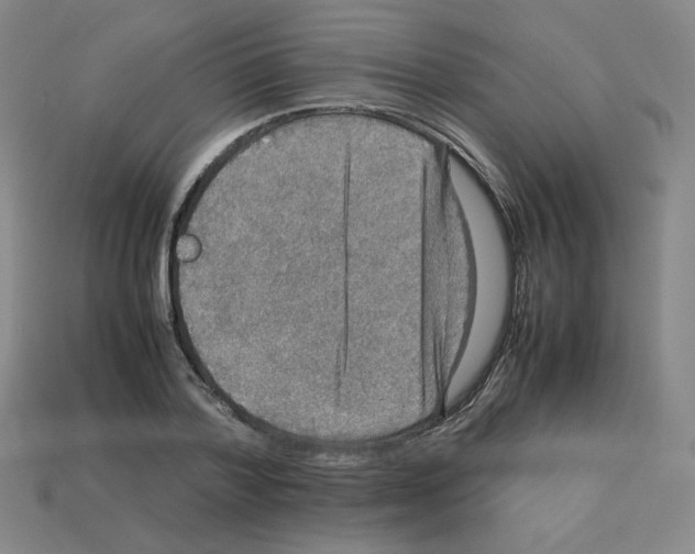 X0000112770788200910011236