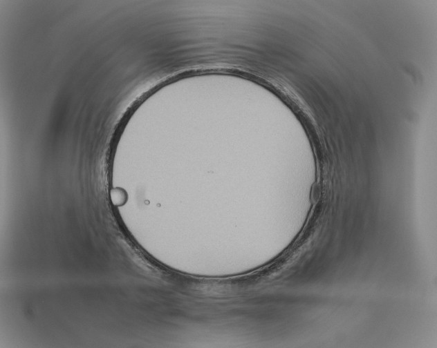 X0000112770789200910011236