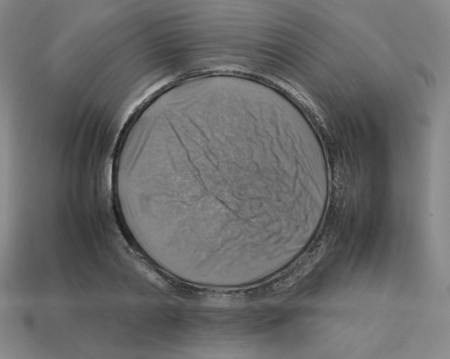 X0000112770790200910011236