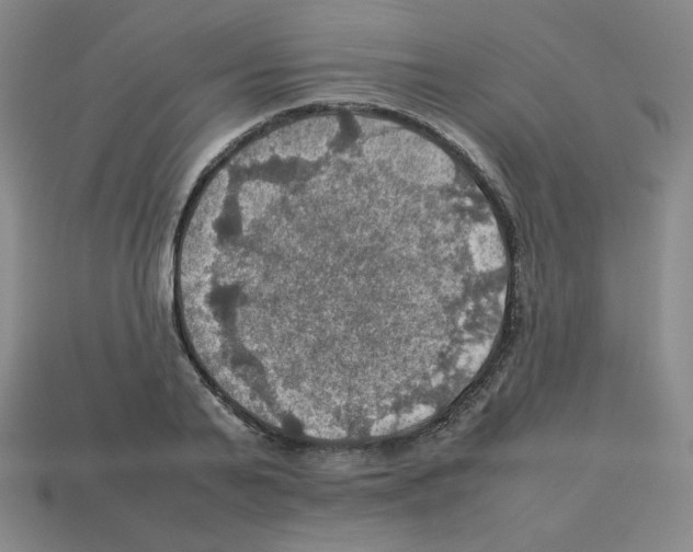 X0000112770791200910011235