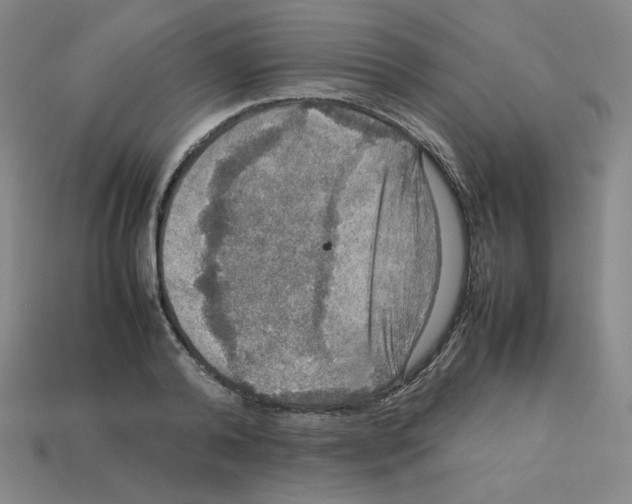 X0000112770792200910011235