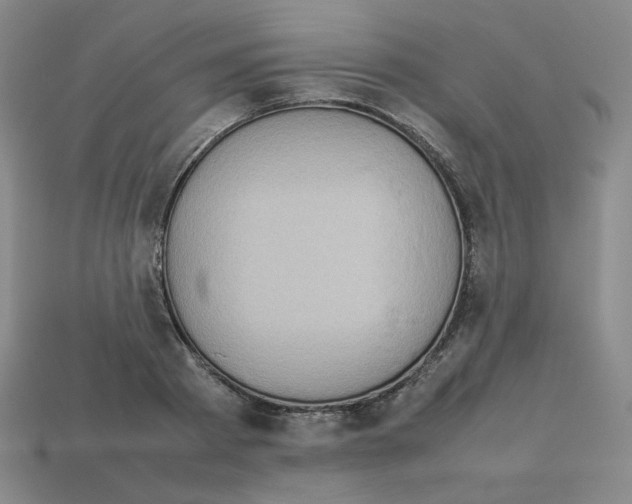 X0000112770793200910011235