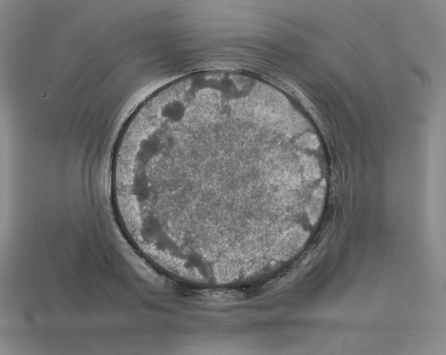 X0000112770795200910011235