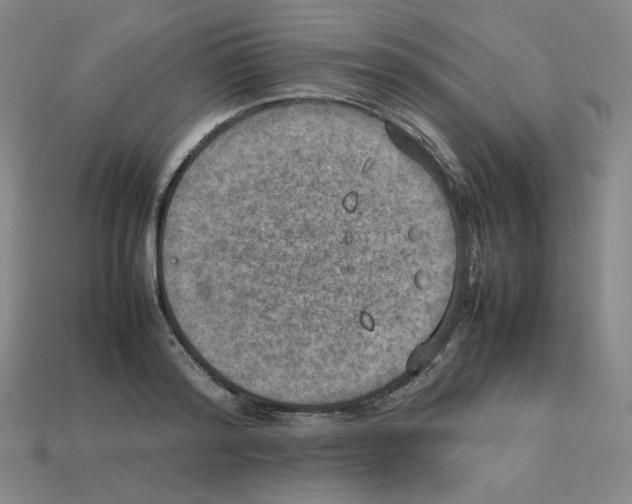 X0000112770796200910011235