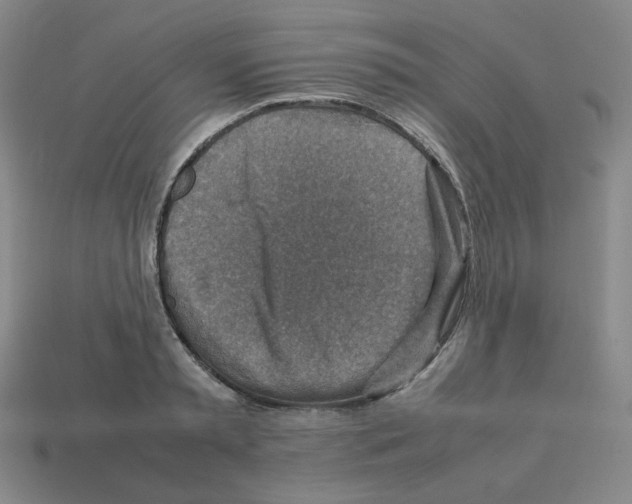 X0000112770797200910011235