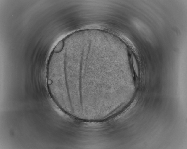 X0000112770800200910011235