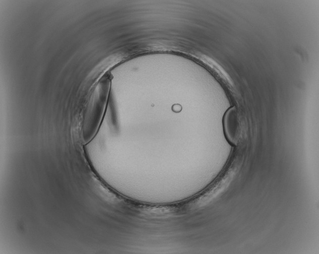 X0000112770801200910011235