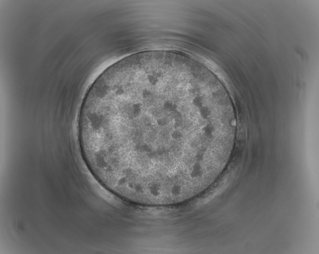 X0000112770803200910011235