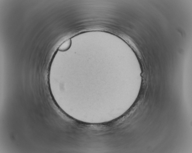 X0000112770805200910011235