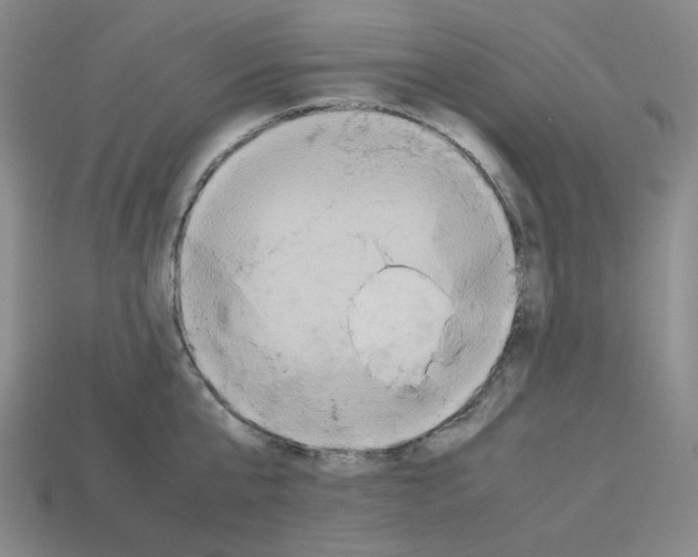 X0000112770807200910011235