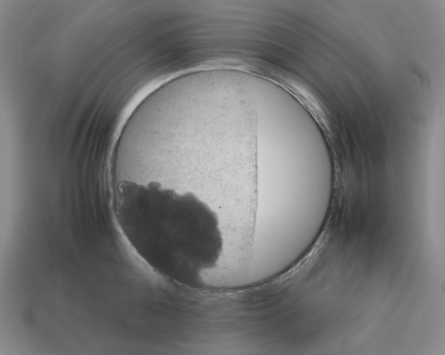 X0000112770808200910011235