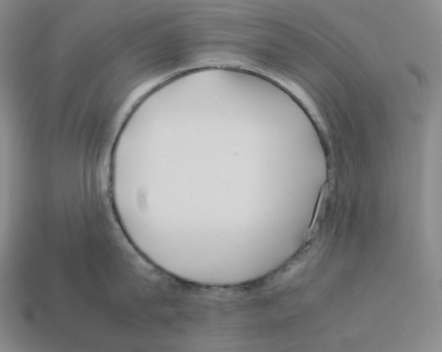 X0000112770815200910011235