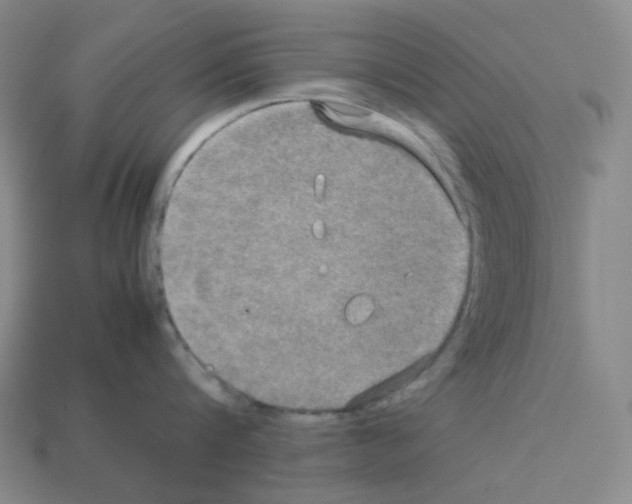 X0000112770816200910011235