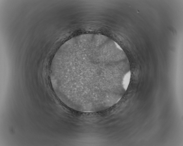 X0000112770817200910011234