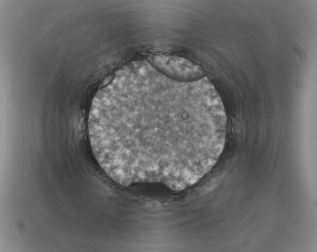 X0000112770818200910011234