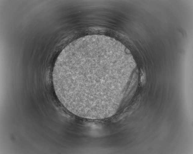 X0000112770819200910011234