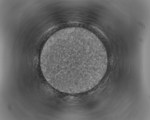 X0000112770821200910011234