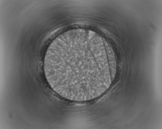 X0000112770822200910011234