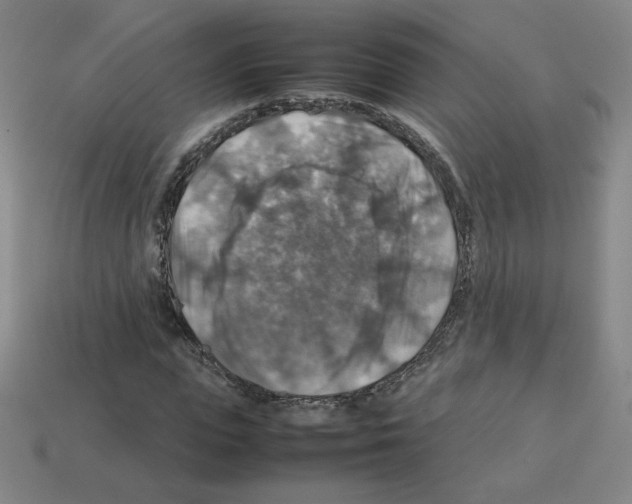 X0000112770823200910011234