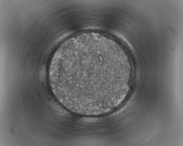 X0000112770825200910011234