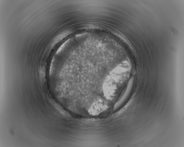 X0000112770826200910011234