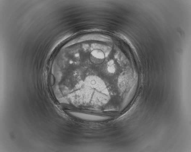 X0000112770827200910011235