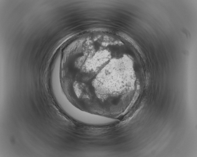 X0000112770829200910011235