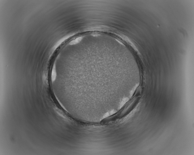 X0000112770830200910011235