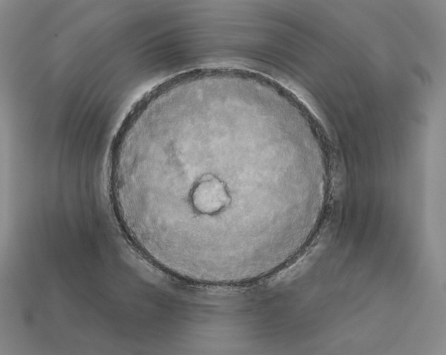 X0000112770832200910011235