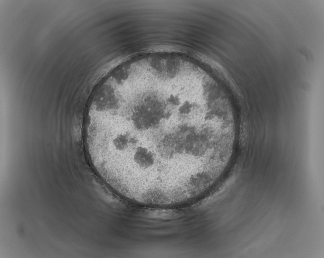 X0000112770833200910011235