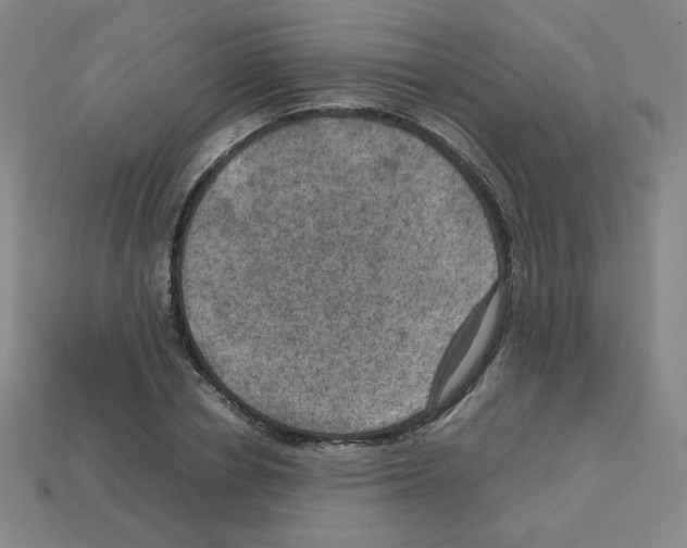 X0000112770834200910011235